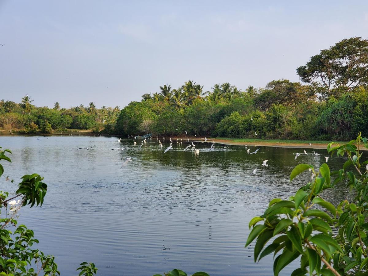 Ceu Ceylon Villa Tangalle Exterior foto
